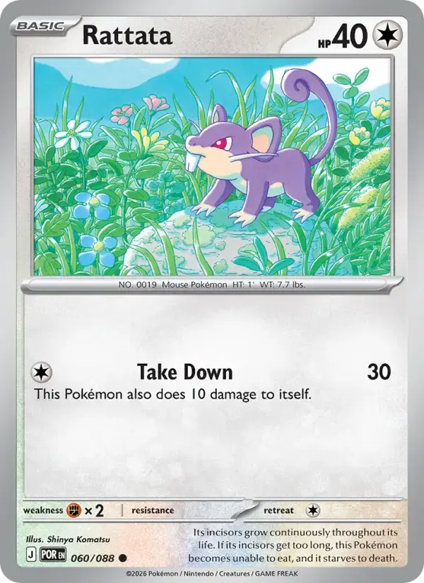 Rattata #060 — Perfect Order