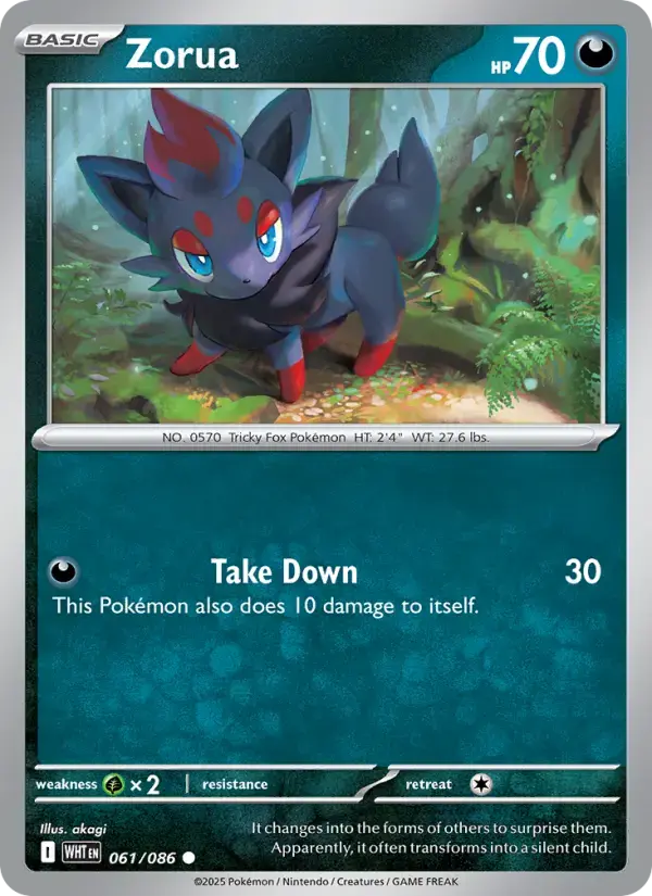 Zorua #061 — White Flare