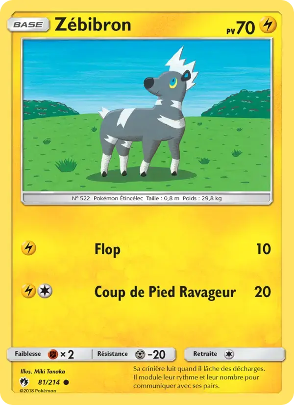 Carte Pokémon Zébibron #81 — Tonnerre Perdu