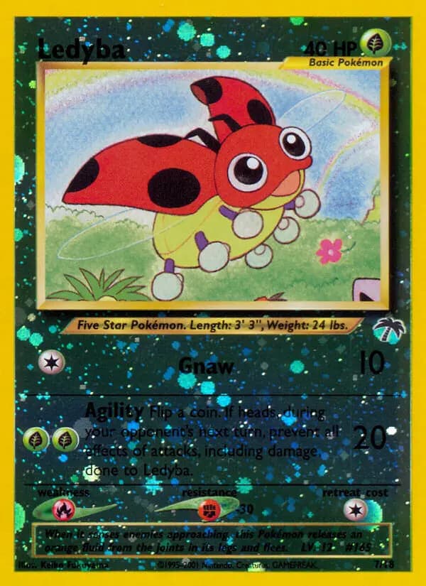 Ledyba #7 — Southern Islands
