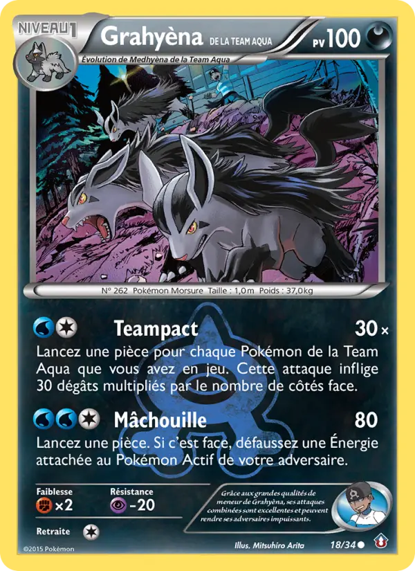 Carte Pokémon Grahyèna de la Team Aqua #18 — Double Danger