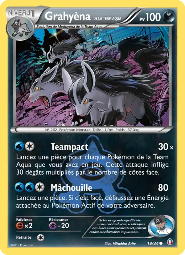 Carte Pokémon Grahyèna de la Team Aqua #18 — Double Danger