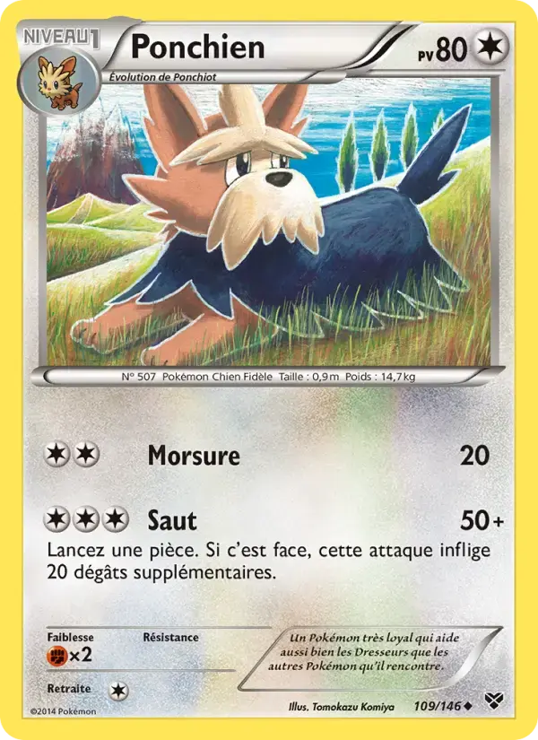 Carte Pokémon Ponchien #109 — XY