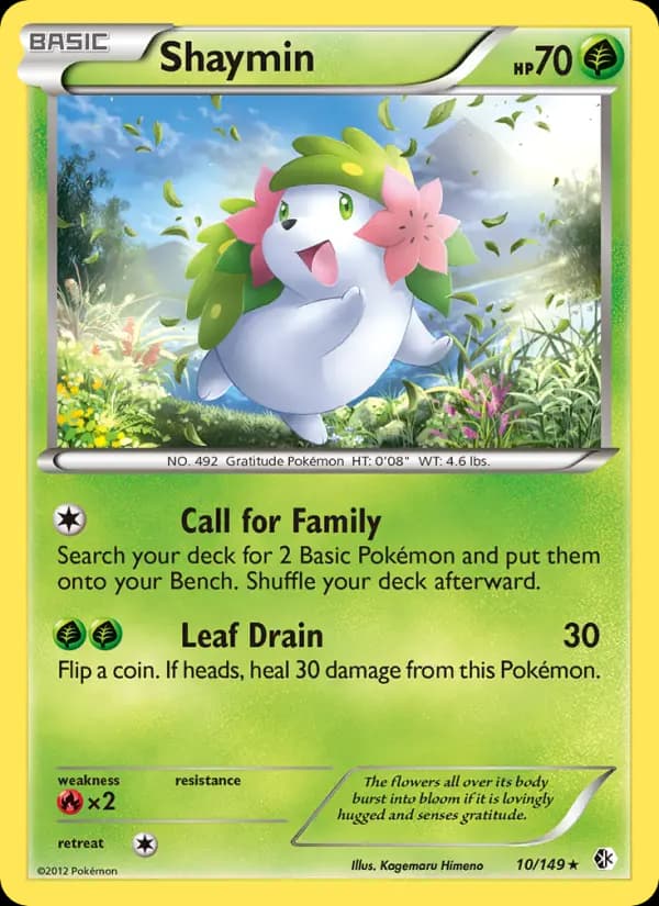 Shaymin #10 — Boundaries Crossed