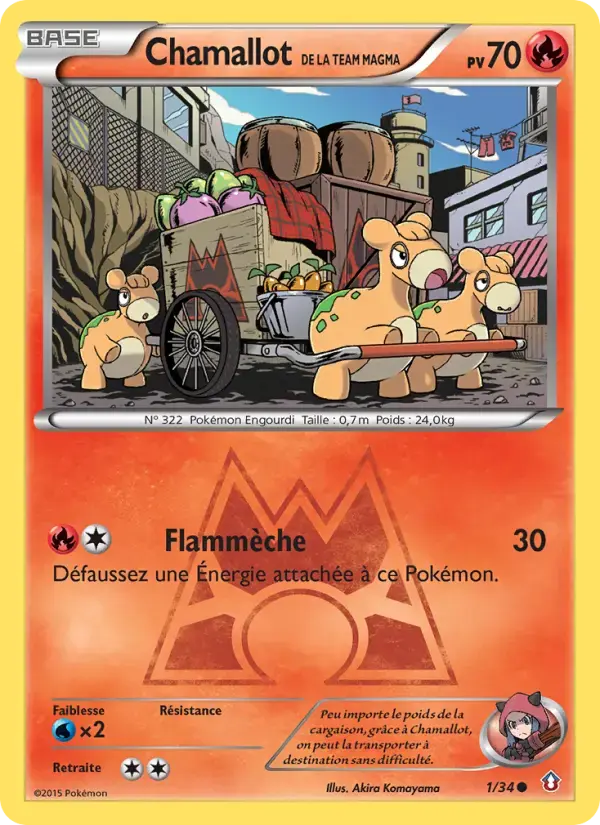 Carte Pokémon Chamallot de la Team Magma #1 — Double Danger