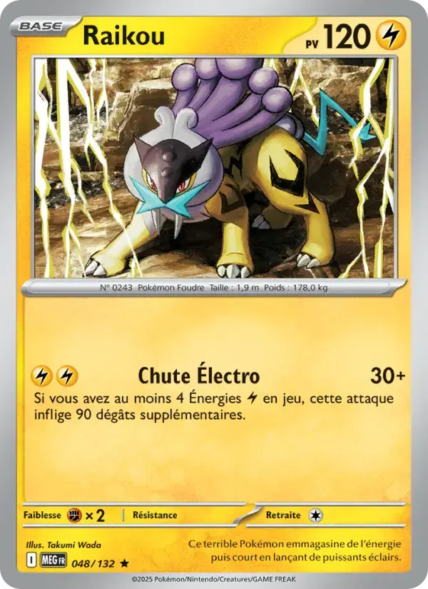 Carte Pokémon Raikou #048 — Méga-Évolution