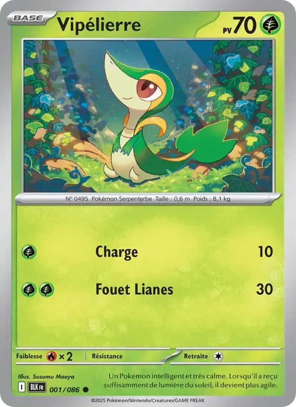 Carte Pokémon Vipélierre #001 — Foudre Noire