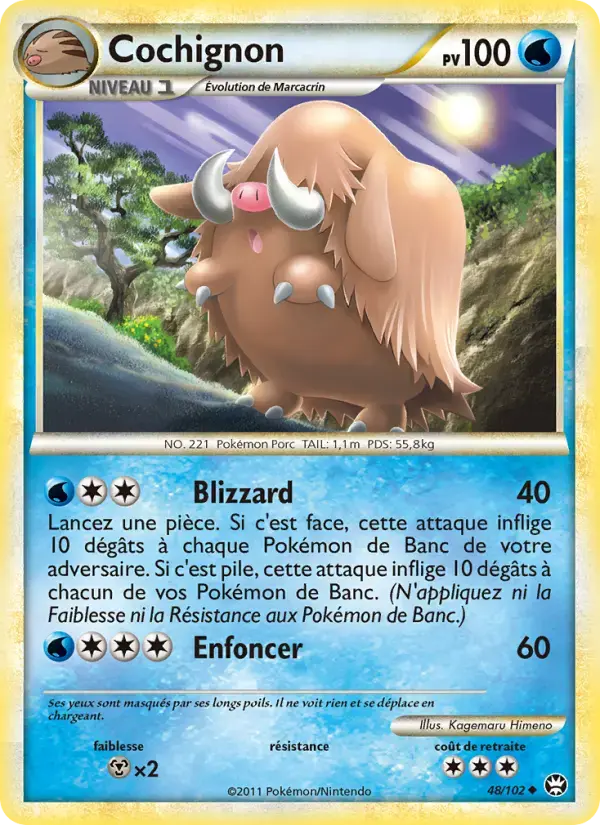 Carte Pokémon Cochignon #48 — Triomphe