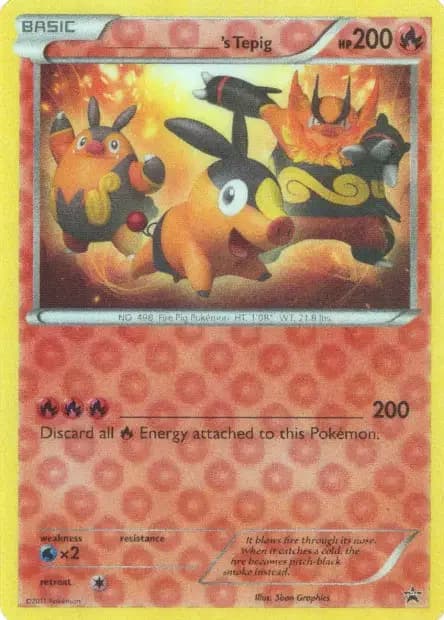 _____'s Tepig #id-0def6a3a84 — Black & White Promos