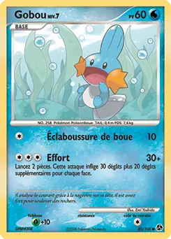 Carte Pokémon Gobou #80 — Duels au Sommet