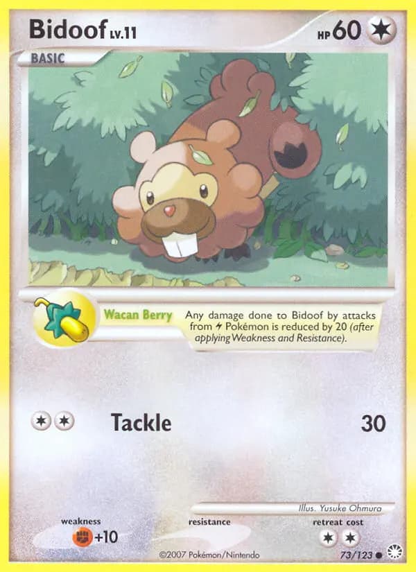 Bidoof #73 — Mysterious Treasures
