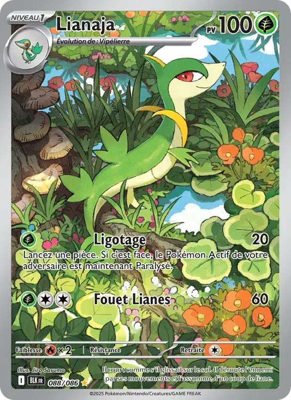 Carte Pokémon Lianaja #088 — Foudre Noire