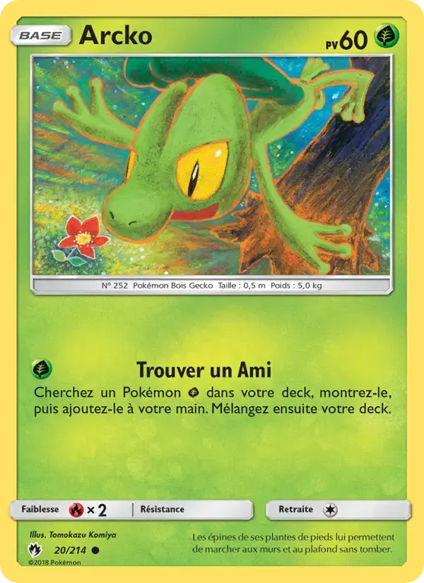 Carte Pokémon Arcko #20 — Tonnerre Perdu
