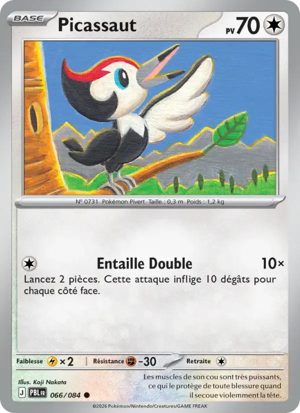 Carte Pokémon Picassaut #066 — Nuit Noire