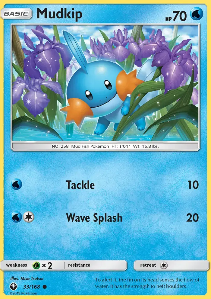 Mudkip #33 — Celestial Storm