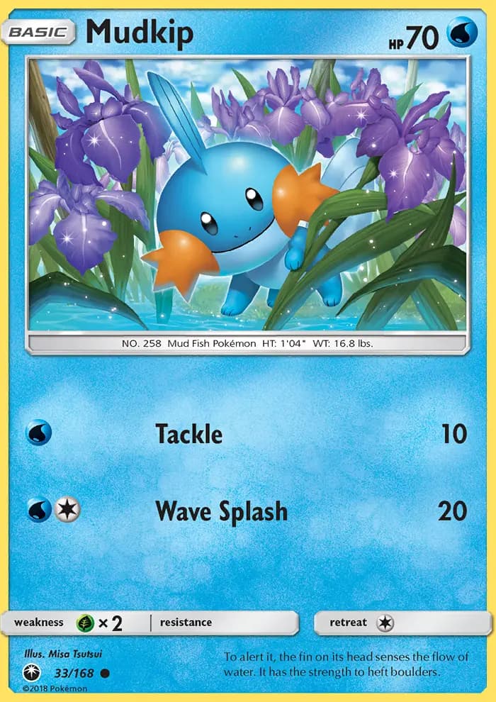 Mudkip #33 — Celestial Storm