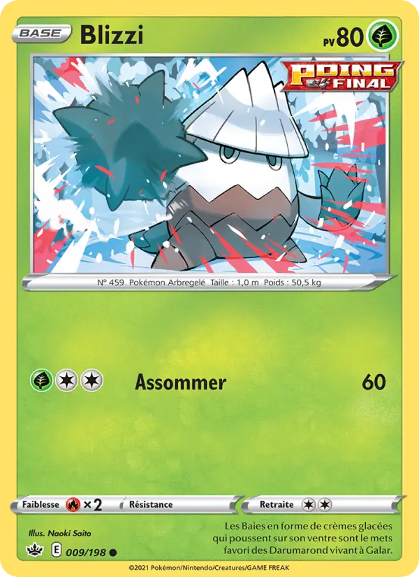 Carte Pokémon Blizzi #9 — Règne de Glace
