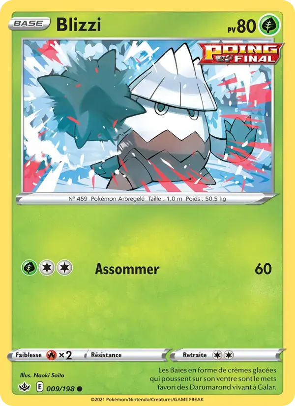 Carte Pokémon Blizzi #9 — Règne de Glace