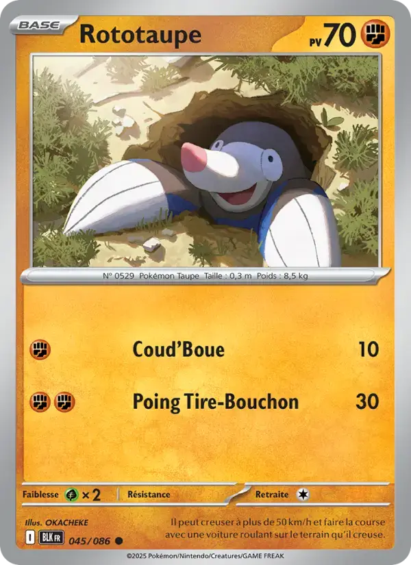 Carte Pokémon Rototaupe #045 — Foudre Noire