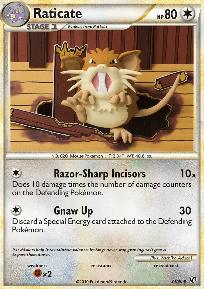 Raticate #34 — Undaunted