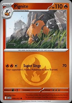 Pignite #030 Non Holo — Ascended Heroes