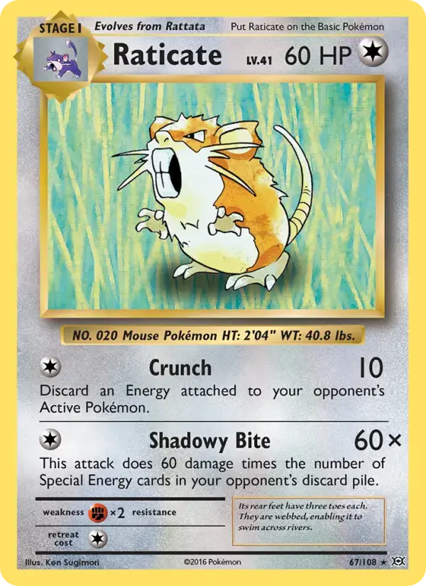 Raticate #67 — Evolutions