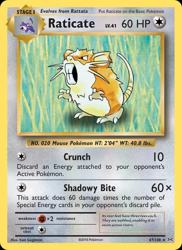 Raticate #67 — Evolutions