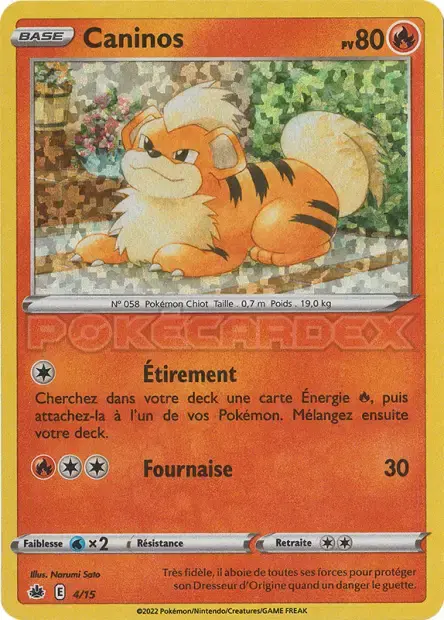 Carte Pokémon Caninos #4 — 2022 Promo McDonald's