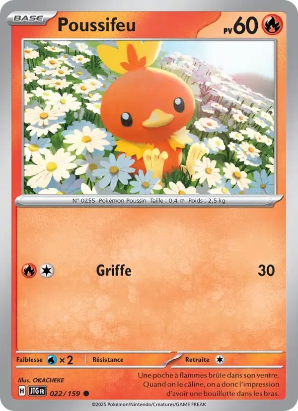 Carte Pokémon Poussifeu #022 — Aventures Ensemble