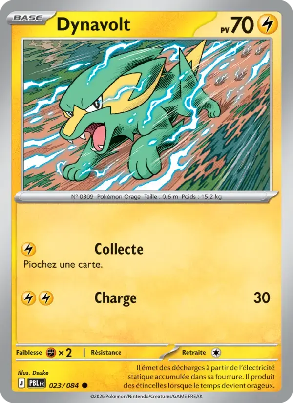 Carte Pokémon Dynavolt #023 — Nuit Noire