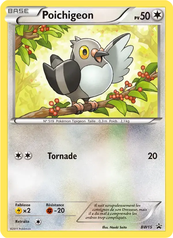 Carte Pokémon Poichigeon #BW15 — Promos Noir et Blanc