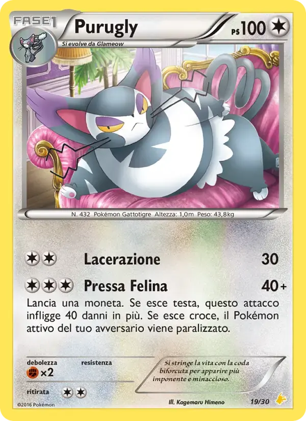 Carte Pokémon Chaffreux #19 — Kit du Dresseur XY (Pikachu Catcheur)