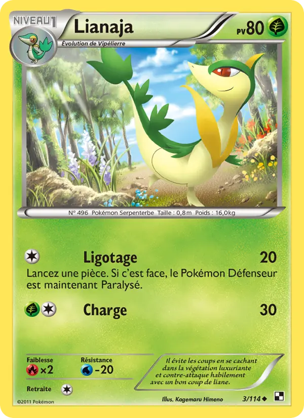 Carte Pokémon Lianaja #3 — Noir et Blanc