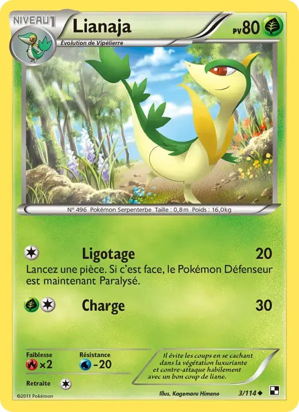 Carte Pokémon Lianaja #3 — Noir et Blanc