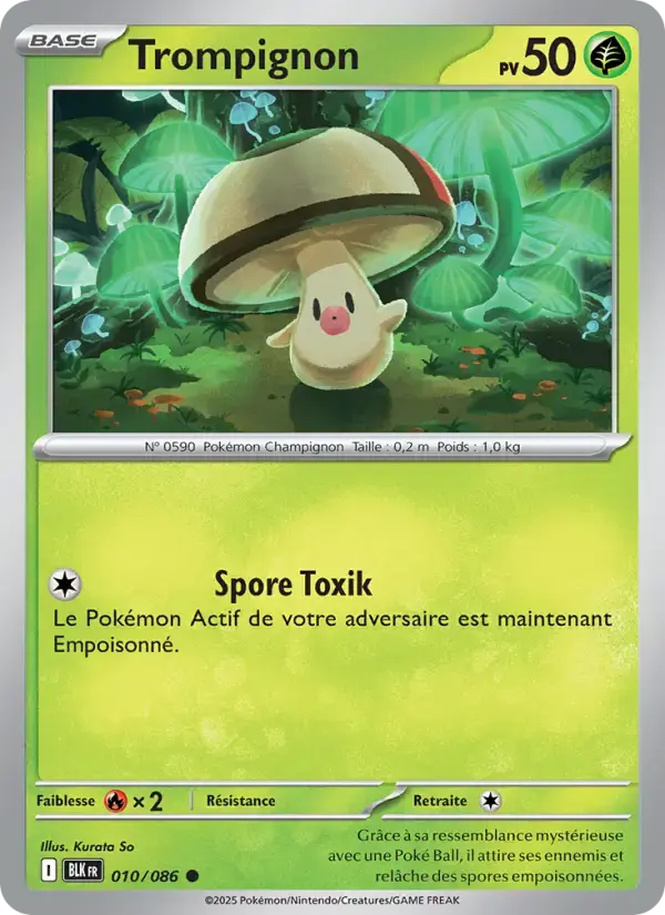 Carte Pokémon Trompignon #010 — Foudre Noire