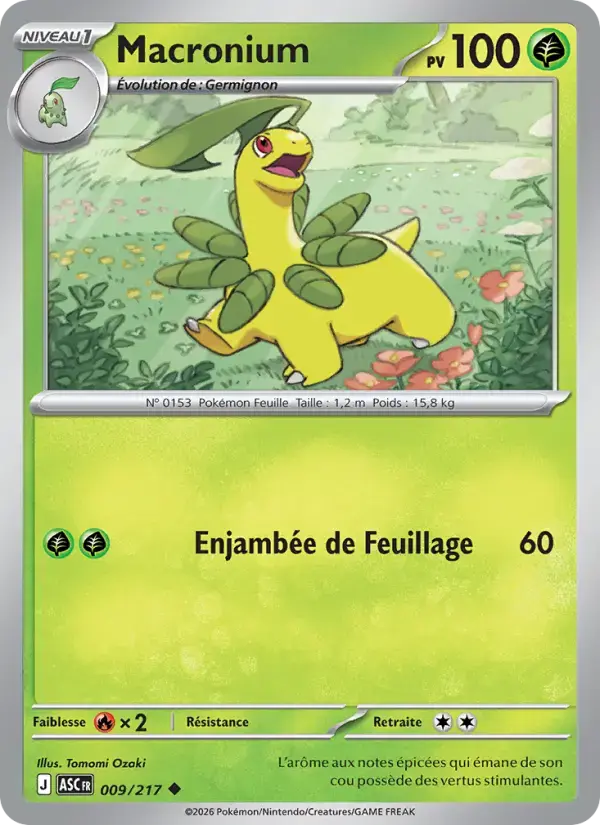 Carte Pokémon Macronium #009 — Héros Transcendants