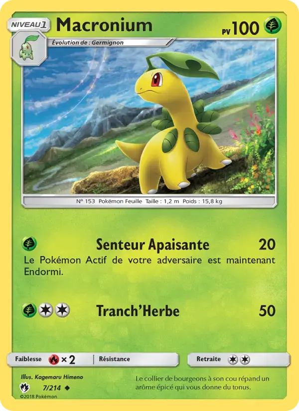 Carte Pokémon Macronium #7 — Tonnerre Perdu