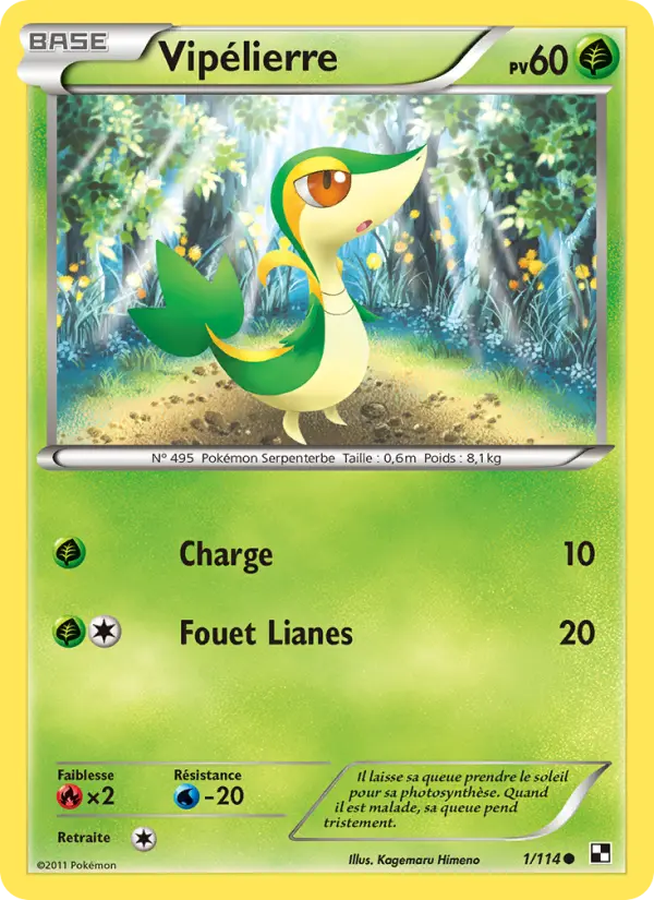Carte Pokémon Vipélierre #1 — Noir et Blanc