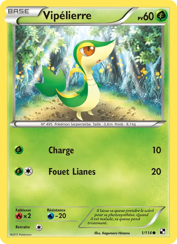 Carte Pokémon Vipélierre #1 — Noir et Blanc
