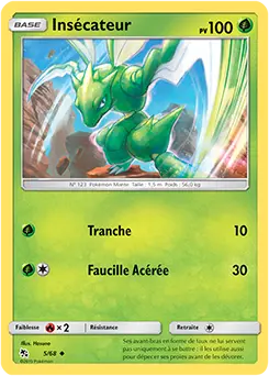 Carte Pokémon Insécateur #5 — Destinées Occultes
