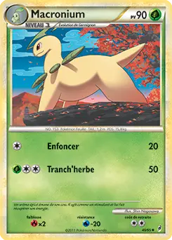 Carte Pokémon Macronium #40 — L'Appel des Légendes