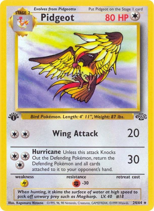 Pidgeot #24 — Jungle