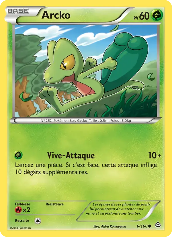 Carte Pokémon Arcko #6 — Primo-Choc