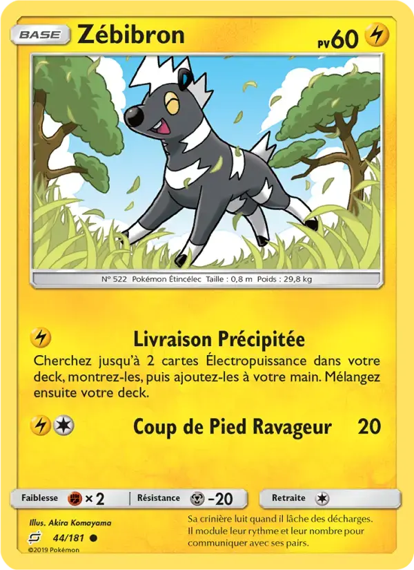 Carte Pokémon Zébibron #44 — Duo de Choc