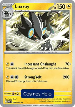 Luxray #28 — Perfect Order