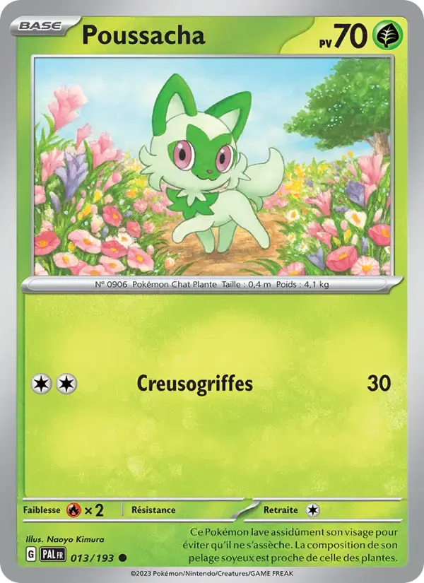 Carte Pokémon Poussacha #013 — Évolutions à Paldea