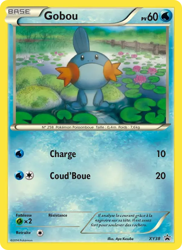 Carte Pokémon Gobou #XY38 — Promos X&Y