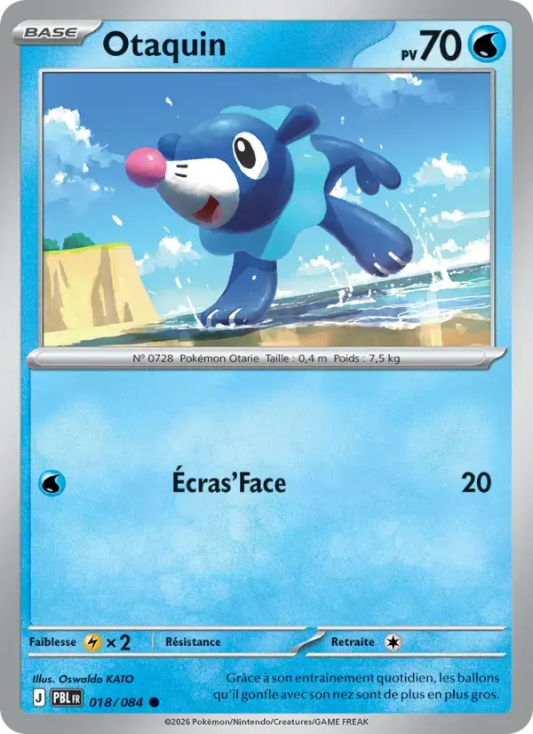 Carte Pokémon Otaquin #018 — Nuit Noire