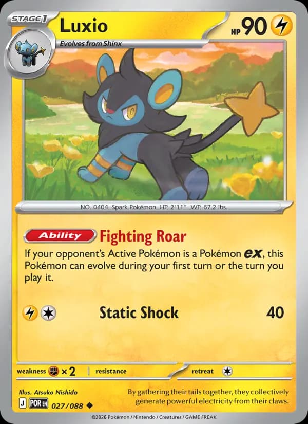 Luxio #027 — Perfect Order