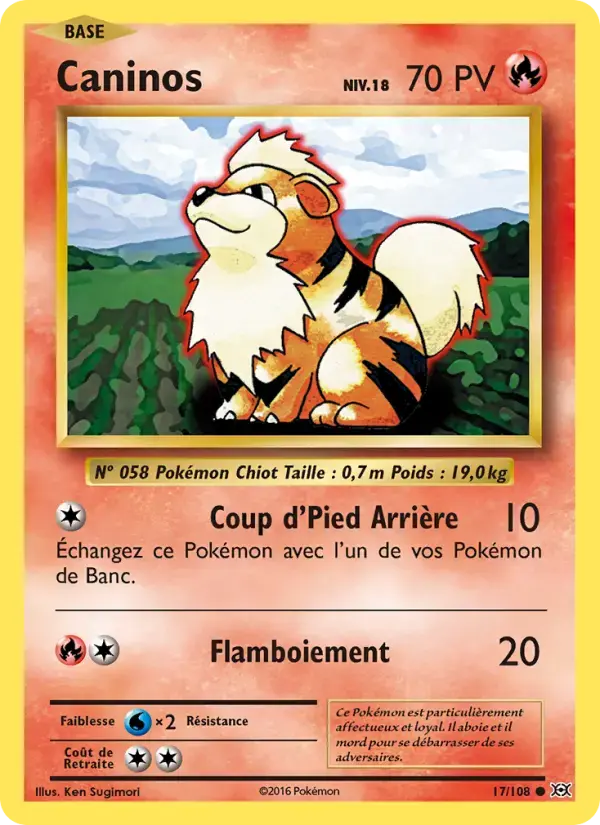 Carte Pokémon Caninos #17 — Évolutions XY